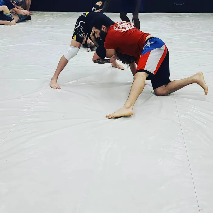 Champions Mixed Martial Arts Picture 6