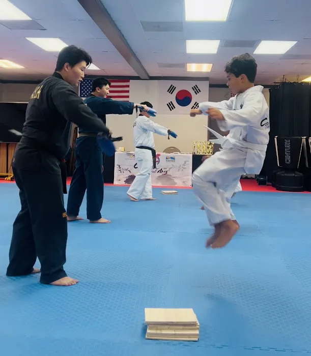 Captain Taekwondo Picture 2