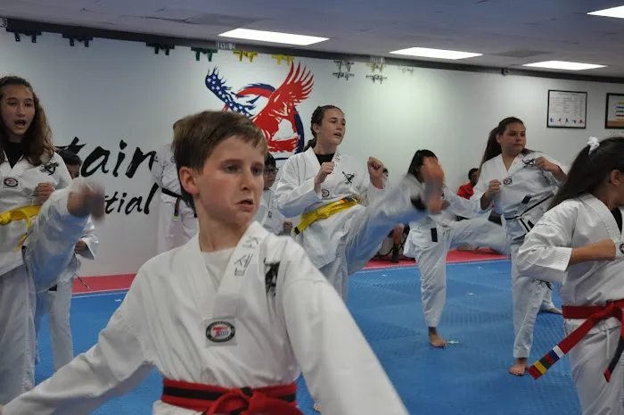 Captain Taekwondo Picture 1