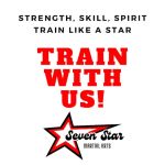 Seven Star Martial Arts