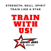 Seven Star Martial Arts ico