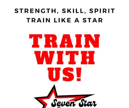 Seven Star Martial Arts