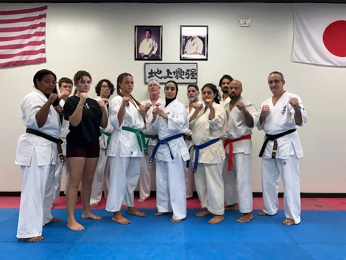 Kyokushin Karate of Florida Picture 9