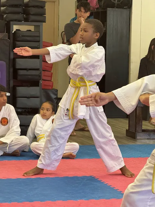 Oliver Martial Arts Academy Picture 5