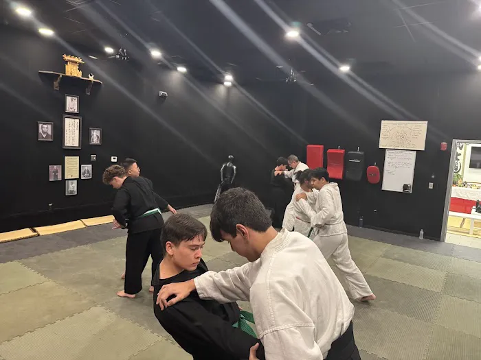 Fishhawk martial arts academy Picture 9