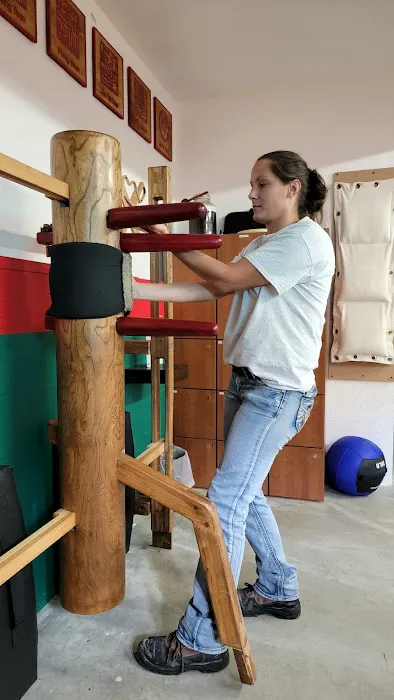 Moy Yat Ving Tsun Kung Fu Institute Tampa/Seffner Picture 5