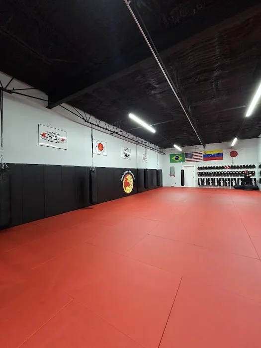 Torin Martial Arts Academy Picture 5