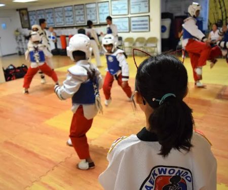 Master Academy Tae Kwon Do