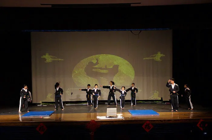 Master Academy Tae Kwon Do Picture 6