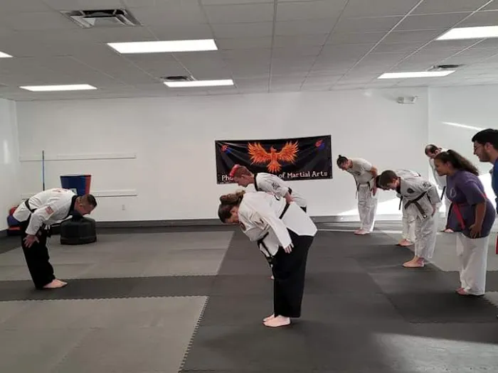 Phoenix Academy of Martial Arts Picture 3
