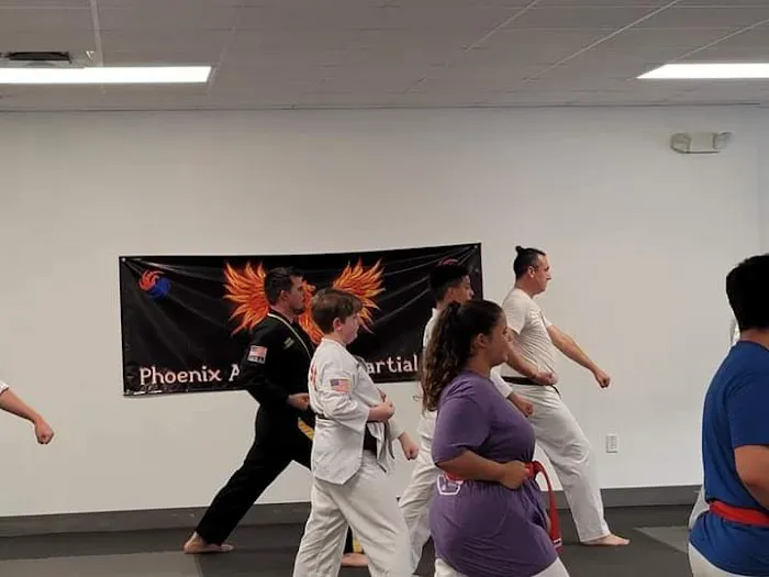 Phoenix Academy of Martial Arts Picture 5