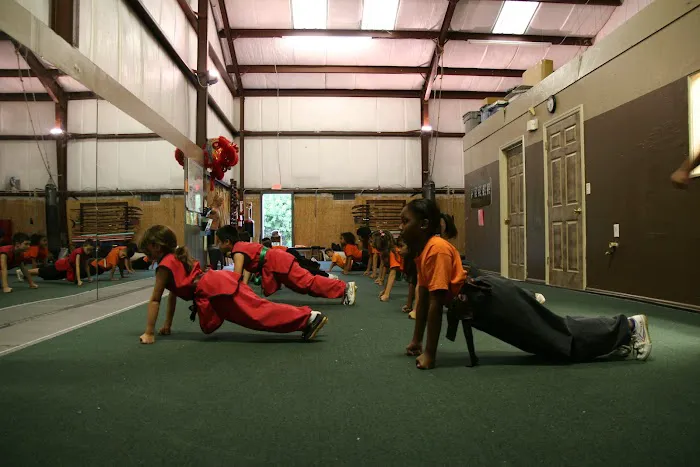 Mt. Song Martial Arts Academy Picture 4