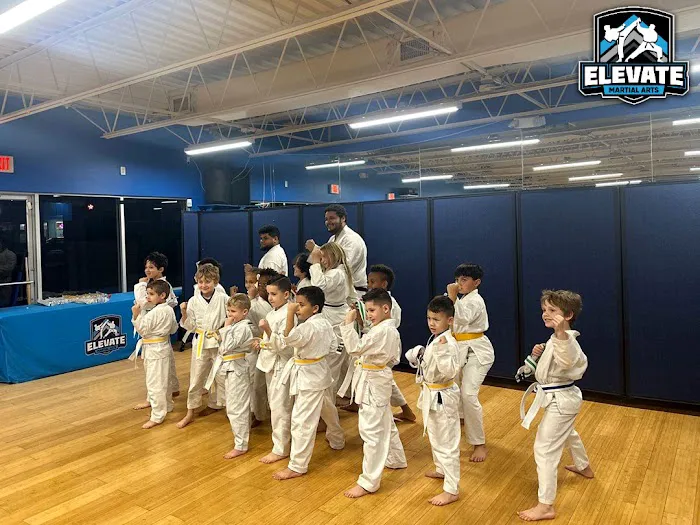 Elevate Martial Arts North Tampa Picture 5