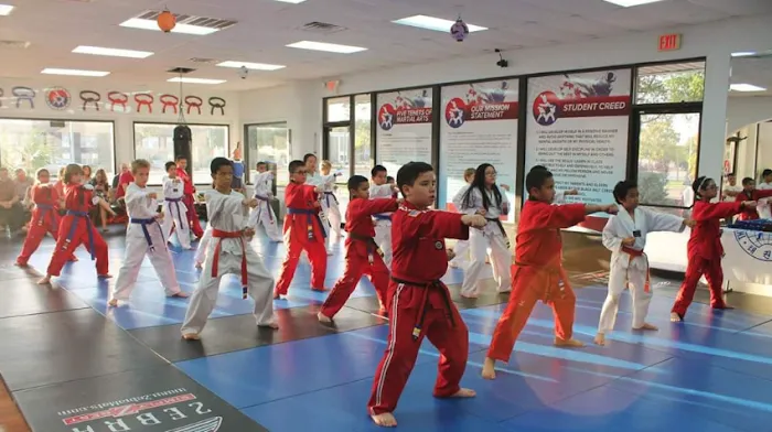 J. PARK MARTIAL ARTS Picture 9