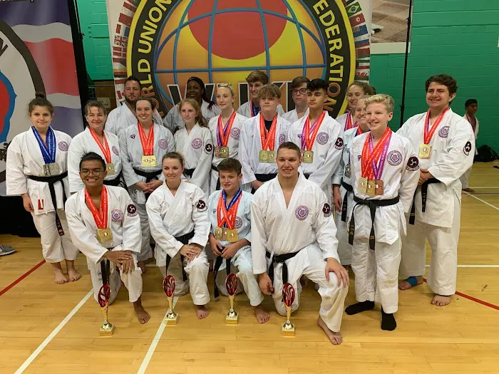 Ingram's Karate Center Picture 4