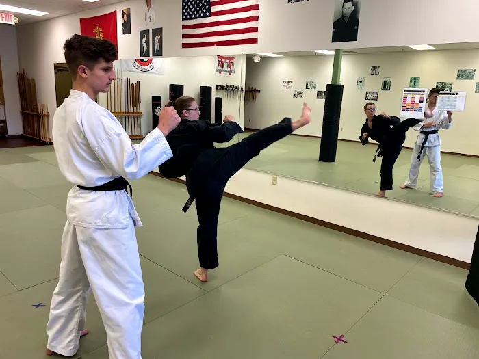 Ingram's Karate Center Picture 1