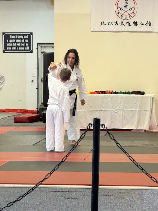 Ingram's Karate Center Picture 2