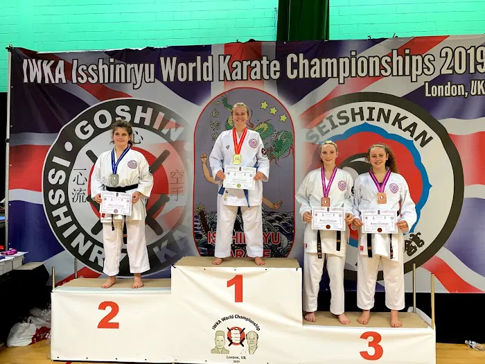 Ingram's Karate Center Picture 7