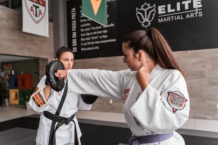 Elite Martial Arts ATA Picture 7
