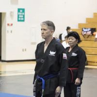 World Champion Center WCC Taekwondo Martial Arts ico