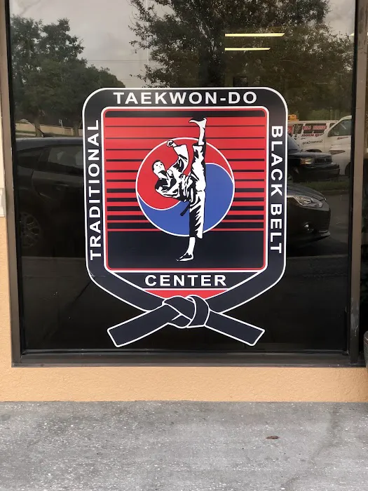 Traditional Tae Kwon-Do Carrollwood Picture 3
