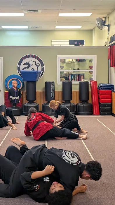 Victory Martial Arts Riverview Picture 2