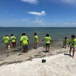 Elevate Martial Arts South Tampa