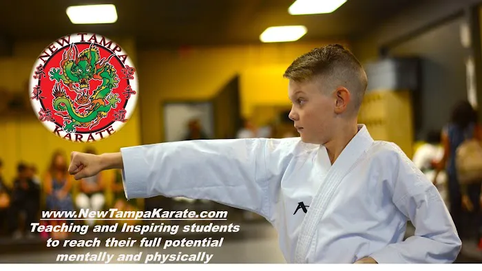 New Tampa Karate Picture 5
