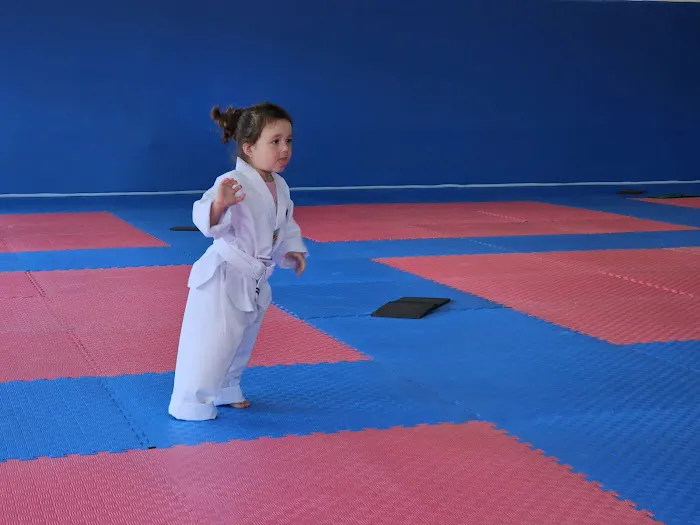 World Champion Center WCC Taekwondo Martial Arts School Picture 1