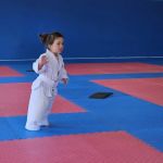 World Champion Center WCC Taekwondo Martial Arts School