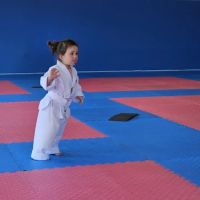 World Champion Center WCC Taekwondo Martial Arts School ico