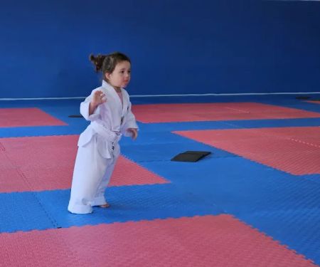 World Champion Center WCC Taekwondo Martial Arts School
