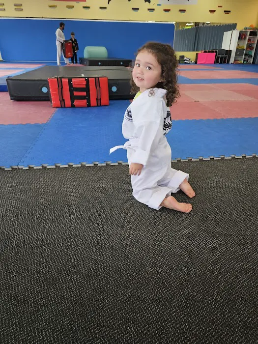 World Champion Center WCC Taekwondo Martial Arts School Picture 3