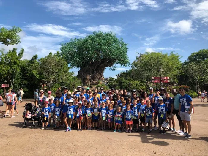 World Champion Center WCC Taekwondo Martial Arts School Picture 5