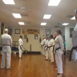 Okinawa Karate Uechi Style