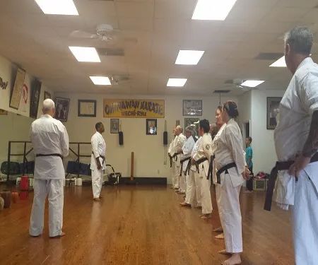 Okinawa Karate Uechi Style