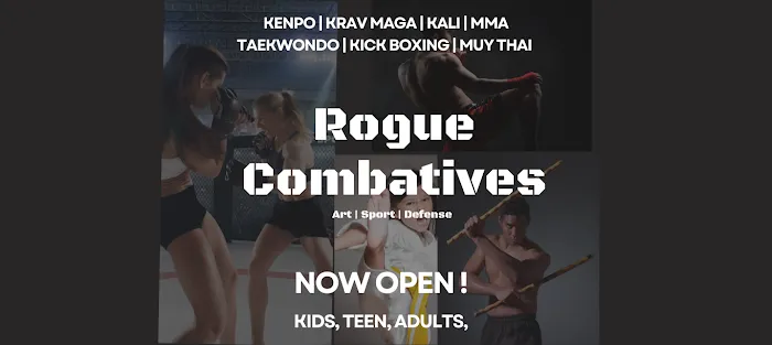 Rogue Combatives Picture 2