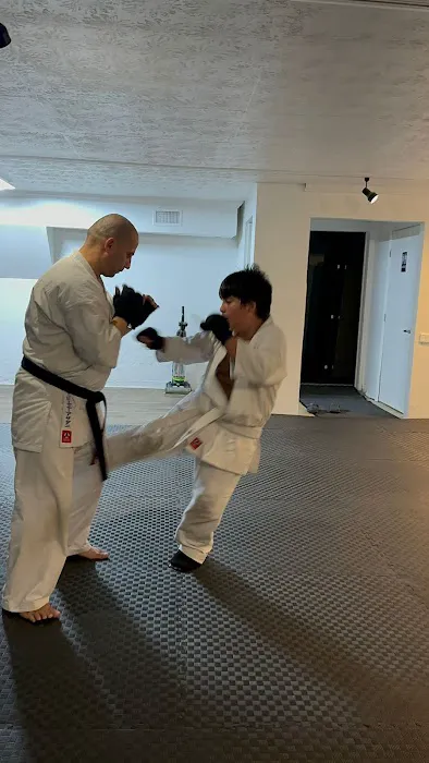 Azadani Kyokushin Karate Dojo of Saint Augustine Picture 10