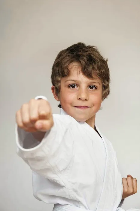 Karate America Picture 6