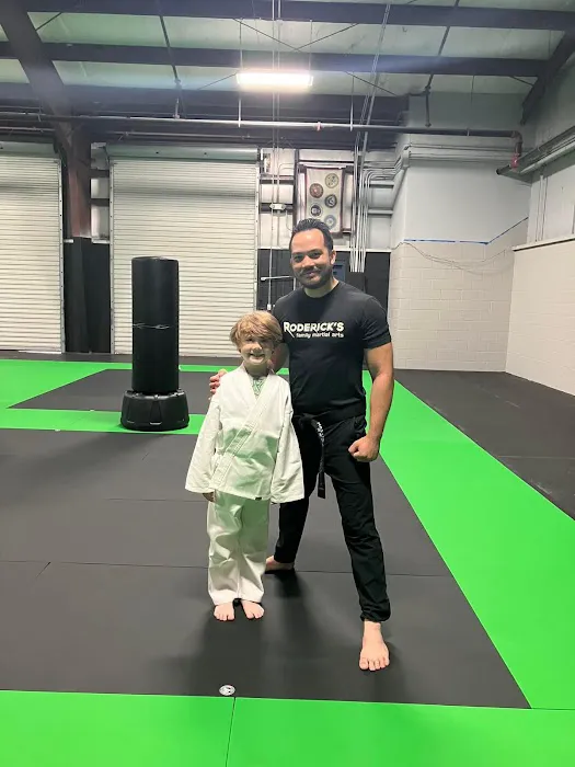 Hero Family Martial Arts Picture 3