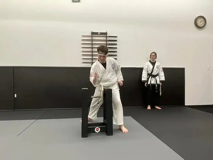 Chomic Combat Karate Picture 9