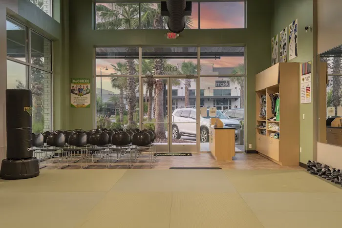Premier Martial Arts at Nocatee Picture 5