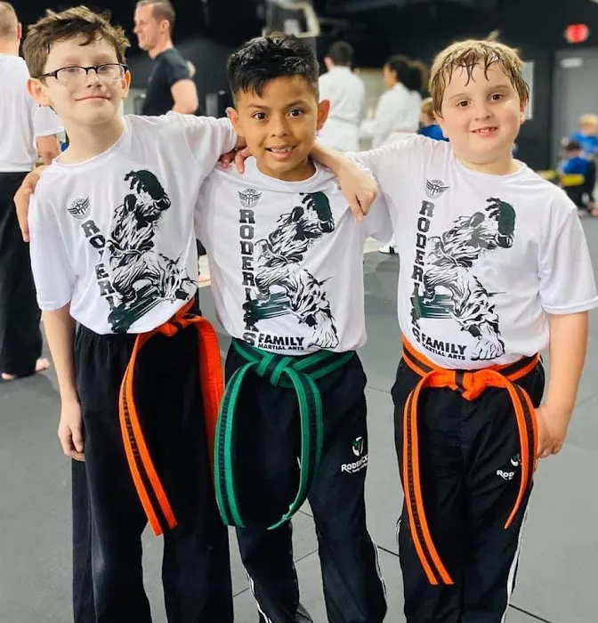 Hero Family Martial Arts Picture 6