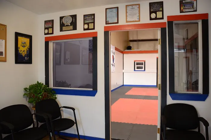 Julington Academy of Martial Arts Picture 2