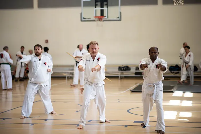 Mandarin Martial Arts Picture 3
