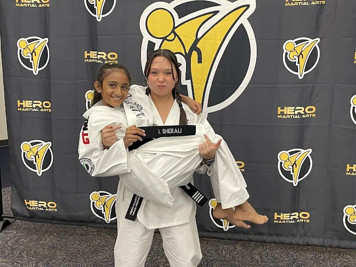 Hero Family Martial Arts Picture 2