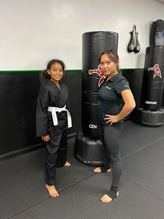 Hero Family Martial Arts Picture 7