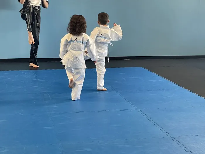 Ripple Effect Martial Arts Picture 5