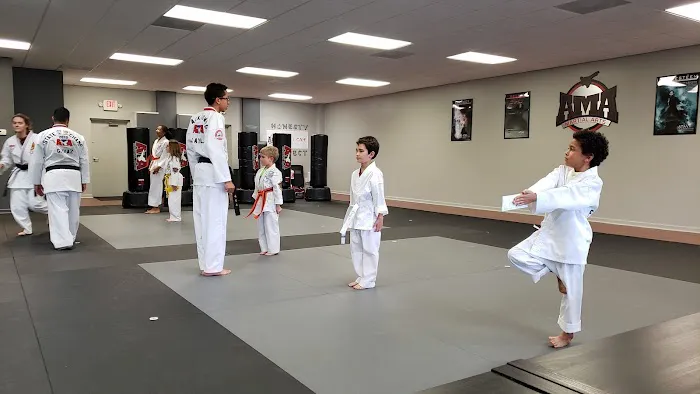 Apex Martial Arts Picture 2