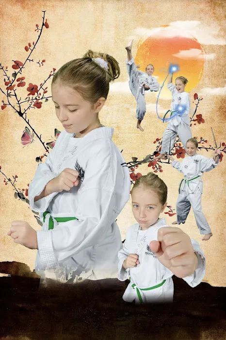 World Champion Center WCC Taekwondo Martial Arts School Picture 2